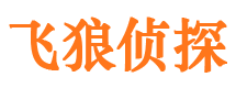 辉县市婚姻出轨调查